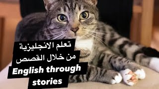 قصة حقيقية للقطة الني ماتت و عاشت
Real story about a dead cat who turned up alive