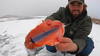CATCH, CLEAN, COOK PINK TROUT on the ICE!! (Ice Fishing)