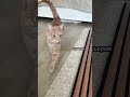 Реечная панель для стены