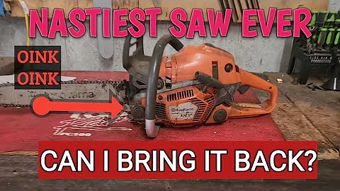 Husqvarna 550xp Nastiest Saw I Ever Purchased!!