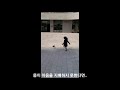 2021년 4월 11일
