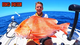 AUSTRALIA'S MOST PRIZED REEF FISH! (Hervey Bay Fishing)