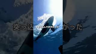 ヤバい...海中を探索しているとトンデモナイ生物が現れた。