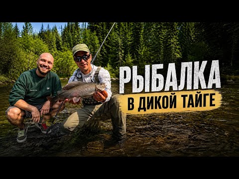Fishing in the WILD TAIGA with Zhekich Dubrovsky. Catching grayling and lenok