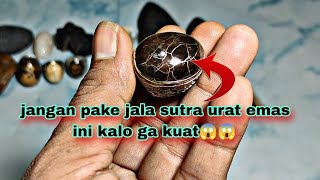 Jangan Pake Jala Sutra Urat Emas Inikalo Ga Kuat Masuk Kesemua Jalur