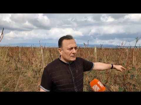 ლეიბორისტული პარტიის\" პრეზიდენტობის კანდიდატი გურჯაანში სტიქიის შედეგებს გაეცნო