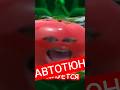 АВТОТЮН #sleduck #sledovatel #yuislime #vtuber #нарезки #мемы #twitch #мем #юмор #anime #fyp #stream