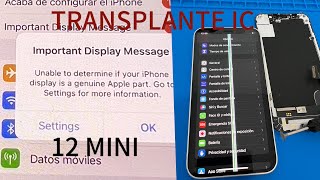 IPHONE 12 mini SCREEN CHANGE (without warning message)⚠️ by Revi Movil 798 views 3 months ago 16 minutes