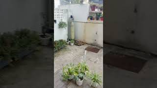 hujan tak henti henti 😭