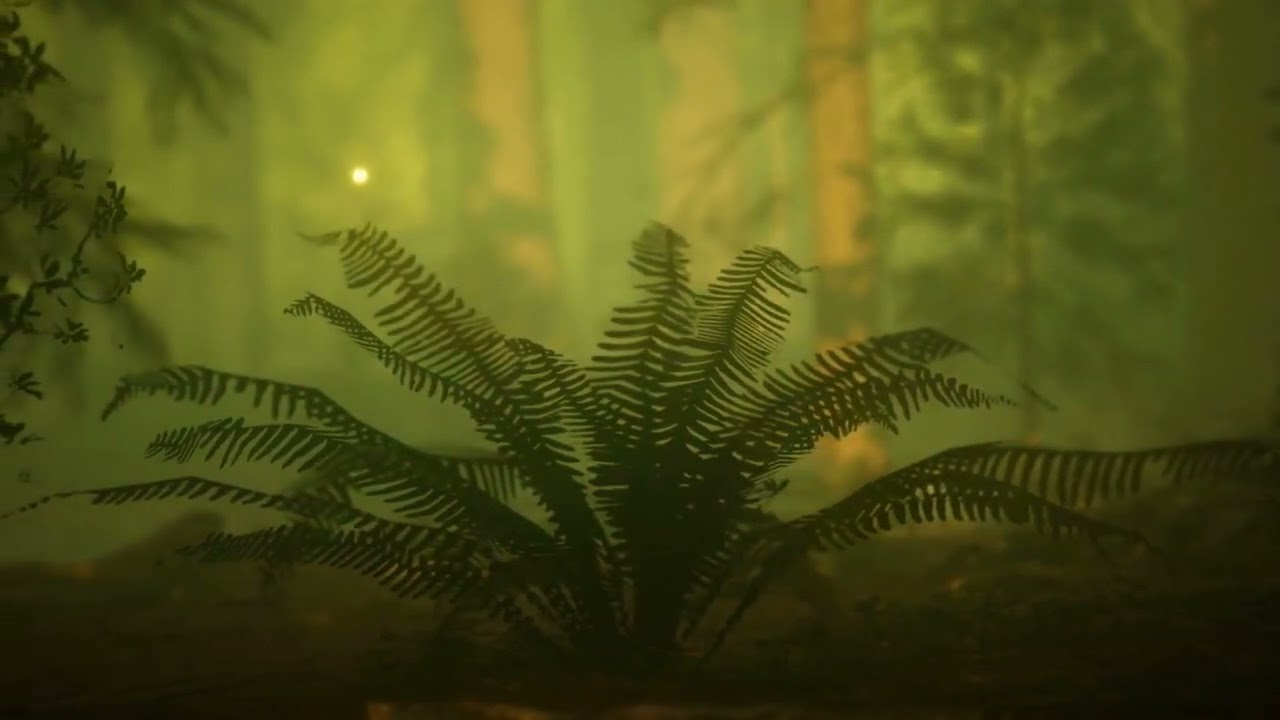 Why Fireflies Light Up