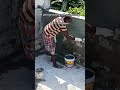 #youtube #short #construction #waterproofing #application @vltsolutionswp