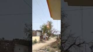 Shocking video: High tension wire short circuit causes entire tree to burn.