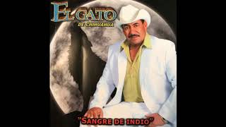 Las Isabeles-El Gato De Chihuahua