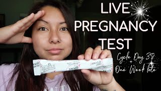 *LIVE PREGNANCY TEST* 7 DAYS LATE! | MISSED PERIOD | Baby #2 TTC JOURNEY