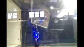 Flapping bird robot with genetic algorithm
