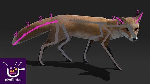 ACS3 Dev Blog | Procedural Modules