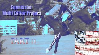 ☞ Equine MEP: Young and Beautiful - CLOSED Deadline: 11/08/13