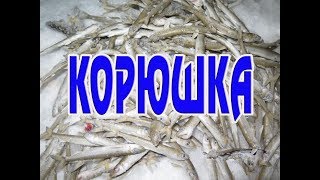 Корюшка, пять минут рыбалки, 1080р 4К, Smelt, five minutes fishing, 1080p 4K