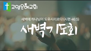 [고양은혜교회]새벽기도회 |23.12.30.토|출애굽기11장|이인욱목사