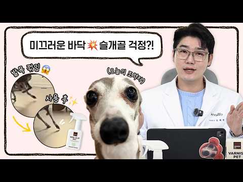 슬개골은 걱정인데 매트 깔기는 어렵다면? 간단한 해결법 알려드려요! | 설쌤's 신상박스📦 | 설채현 행동학 수의사