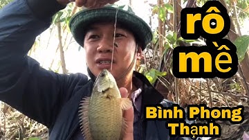 Câu Cá Rô Đồng.Kênh Lục Bình Luôn Là Sự Lựa Chọn Của Nhiều Cần Thủ/@ninhfishing