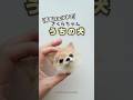 チワワのさくらちゃん【オーダーメイド】#羊毛フェルト #犬#ハンドメイド