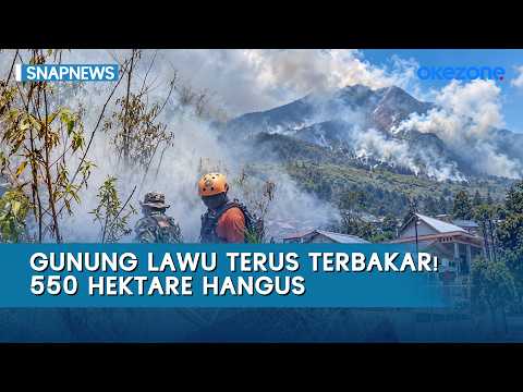 TERRIFYING! Mount Lawu Wildfire Spreads to 550 Hectares, Flames Approach Tourist Sites and Local ...