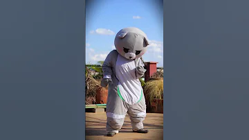 Kifo Cha Mende By Iyanii TikTok Dance Challenge UglyMess Dance Tiktok 