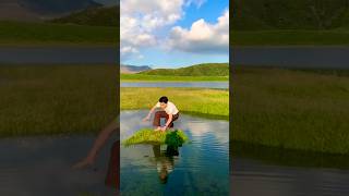 Fail#funny #funnyvideo #moment #fail #fyp #shorts