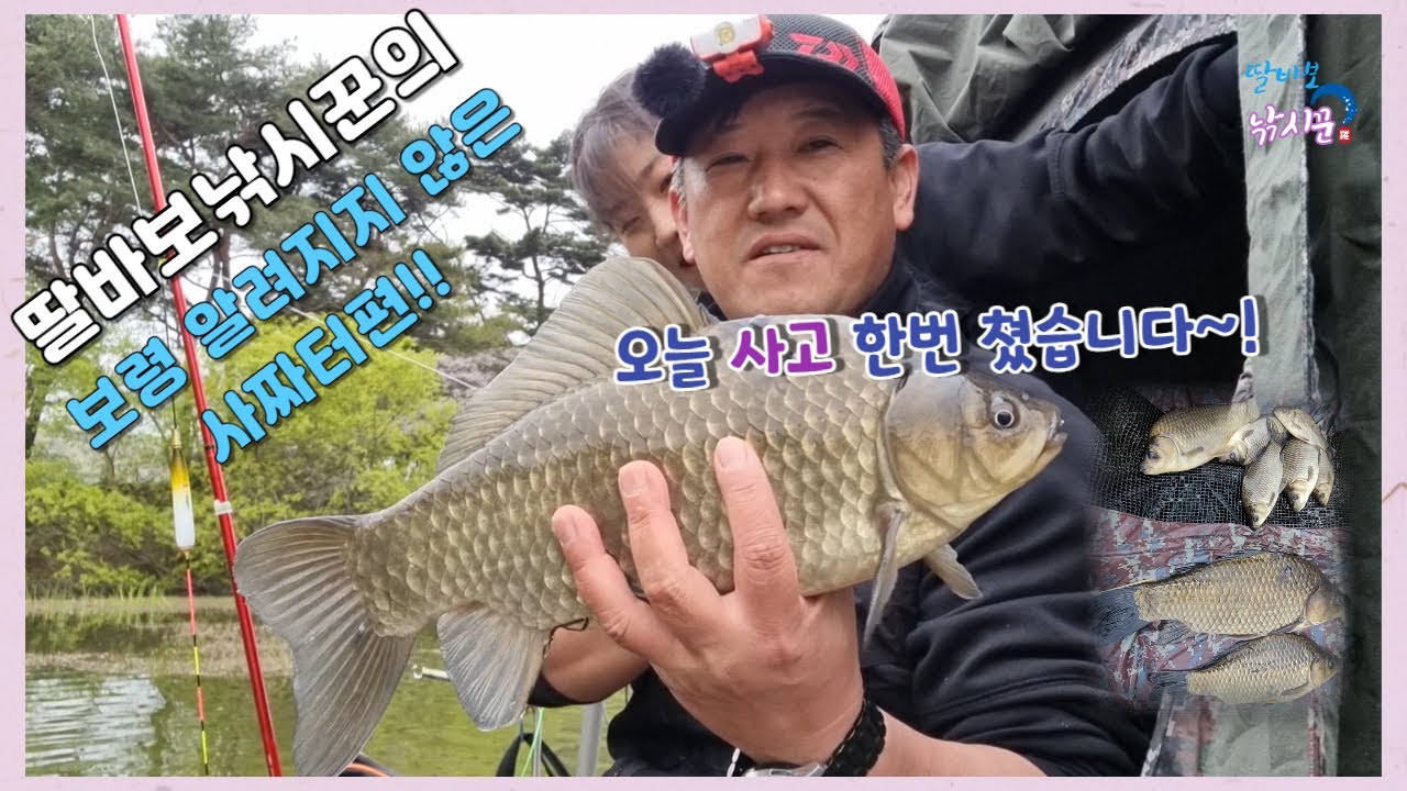 보령 영보리지에서 만난 멋진 사짜붕어!! 마릿수 붕어는 덤으로~
