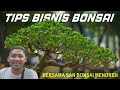 Ngobrol Bersama SAN BONSAI MENOREH MENGENAL BONSAI LEBIH DALAM
