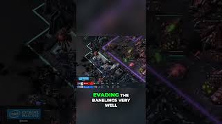 Scarlett vs Serral last moments of the last map at IEM StarCraft 2