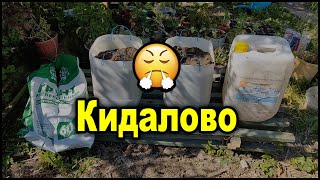 Грунт для растений, обман! Никому нельзя верить 😡