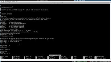 Ignore package upgrade in Arch linux