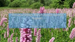 Genesis 3525 The Sons Of Bilhah, Rachels Servant Dan And Naphtali
