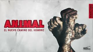 Watch Animal Alas video