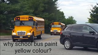 Why should school bus paint yellow colour2 amazing facts