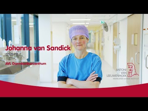 Johanna van Sandick | Slokdarm- en maagkanker | AVL Darmkankercentrum | NL Subs