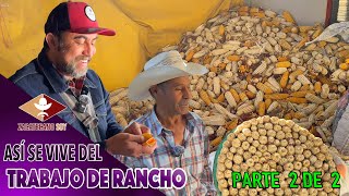 PEPENA EL MAÍZ Y VENDE TORTILLAS un trabajo muy ranchero by Zacatecano Soy 95,961 views 10 days ago 27 minutes