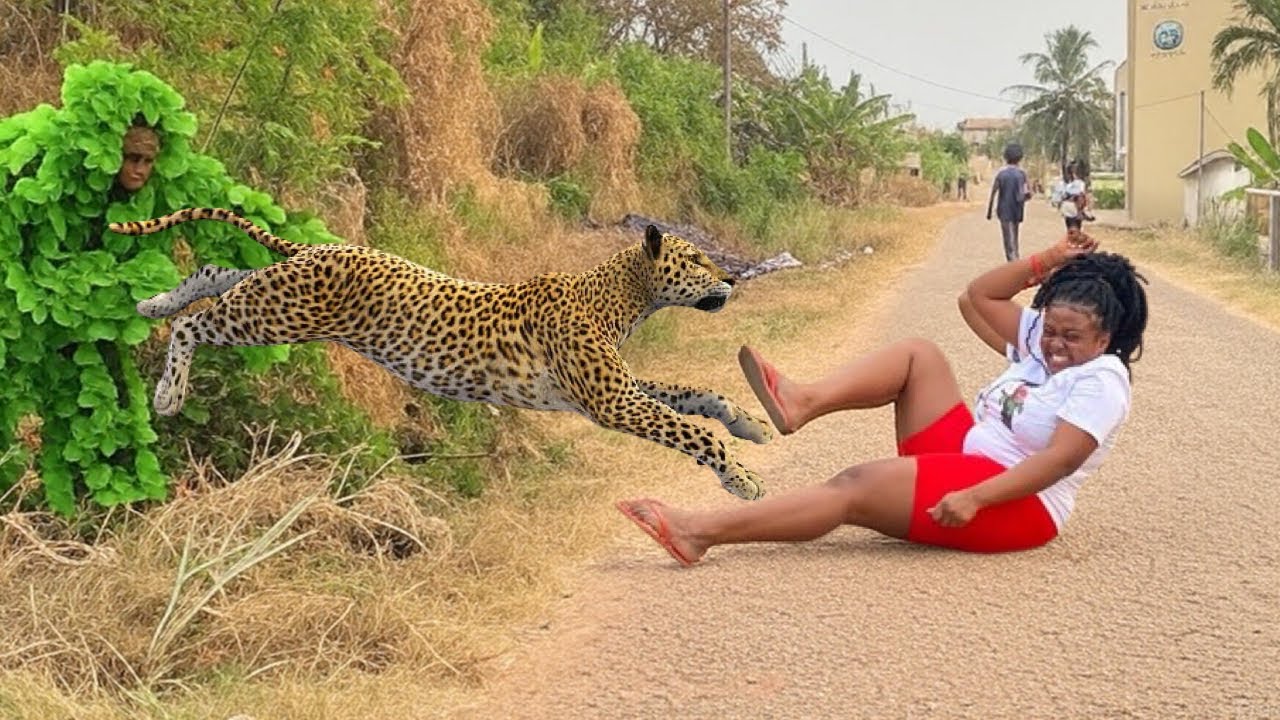 FEAR OF IMMINENT DISAPPOINTMENT 2025!! BUSHMAN PRANK COMPILATION