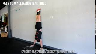 Face to Wall Handstand Hold - Demonstration