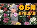 ОБИ-Лахта орхидеи - прощальный обзор.