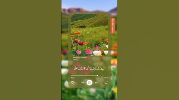 سورة إبراهيم 🍂 #تلاوة_خاشعة #ارح_قلبك #راحة_نفسية #قرآن_كريم #لايك #دويتو #1000subscriber #تيك_توك