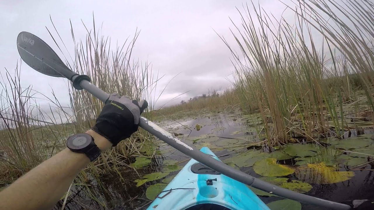 MASCOTTE BULLFROG KAYAKING DUKES LAKE 017 YouTube