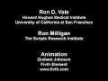 End of video