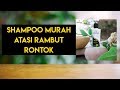 VIRAL | Cegah Rambut Rontok Hanya Menggunakan Shampoo Murah |