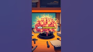 The Science Behind Déjà Vu