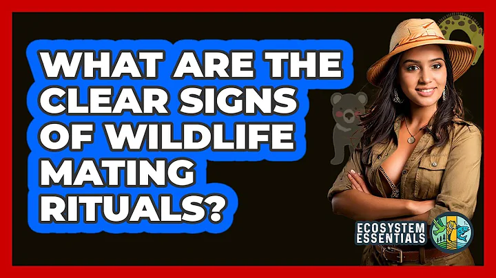What Are The Clear Signs Of Wildlife Mating Rituals? - Ecosystem Essentials