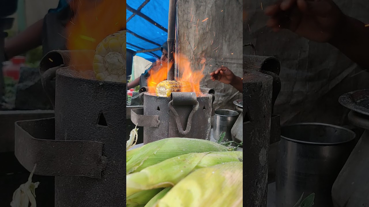 Things to do in Yercaud 📍