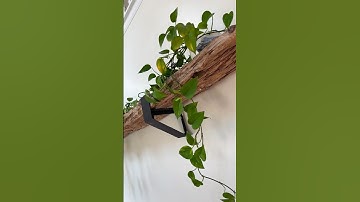 One of a kind shelf made from a 12’ piece of driftwood found on a beach in Maine  #createmore